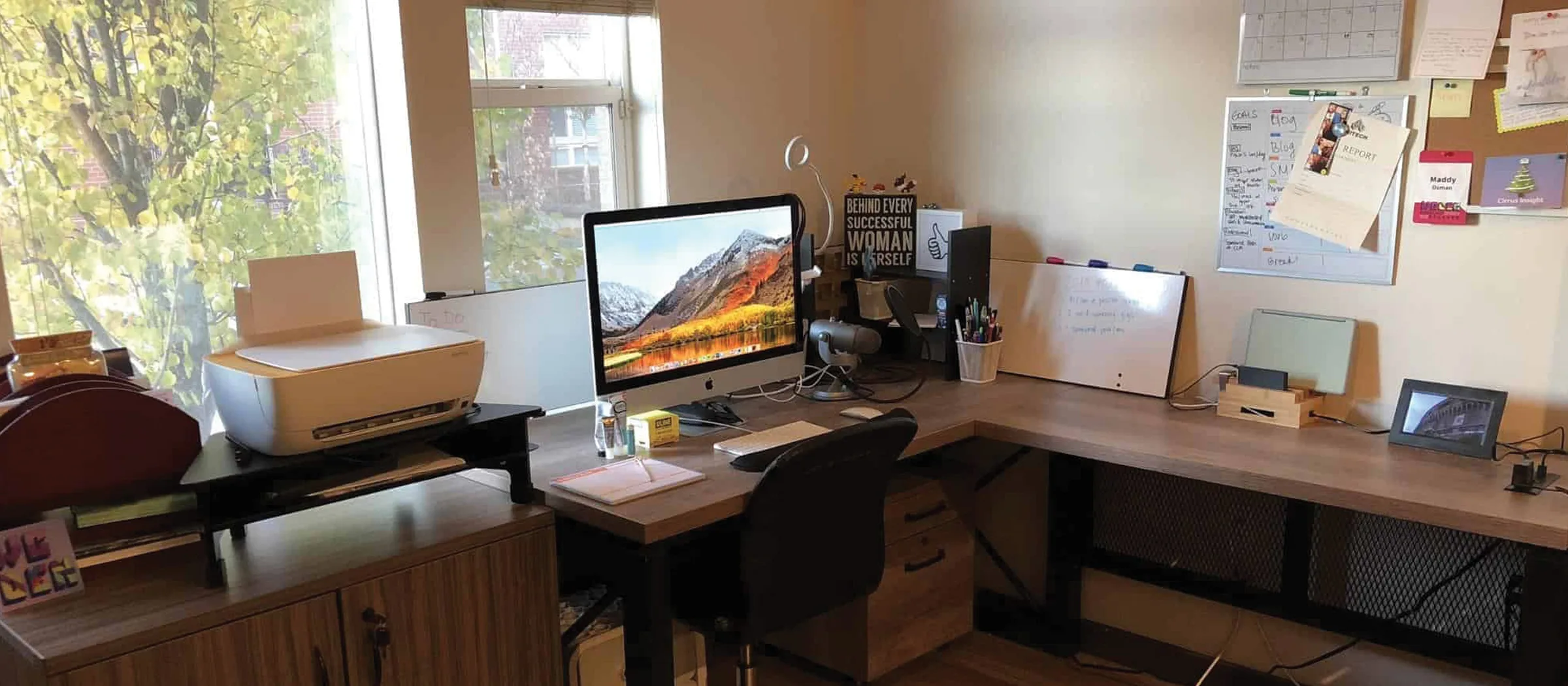 Freelance vendor intelligence, ecommerce, and startup work